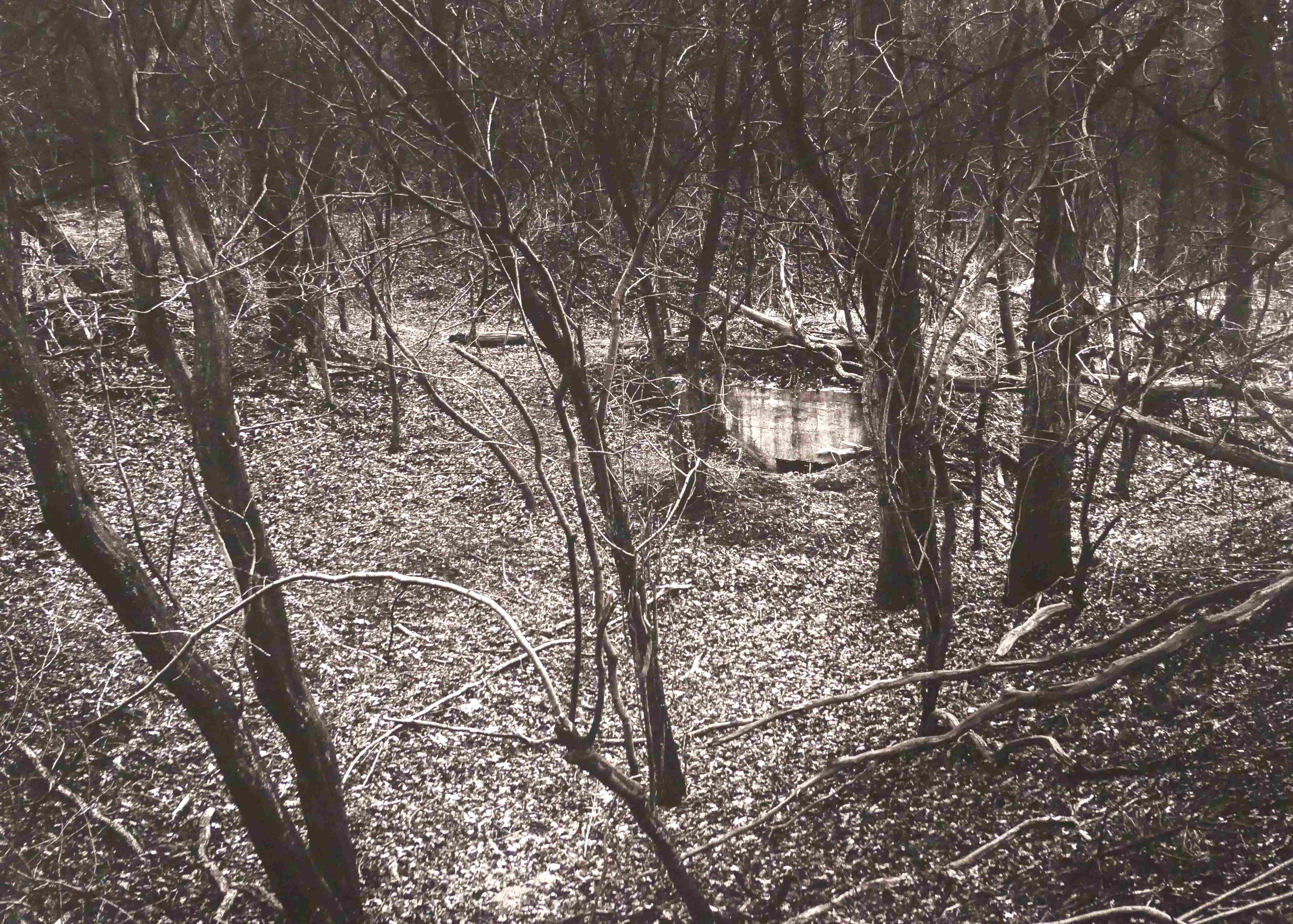 Bob Wielaard, Land en sporen