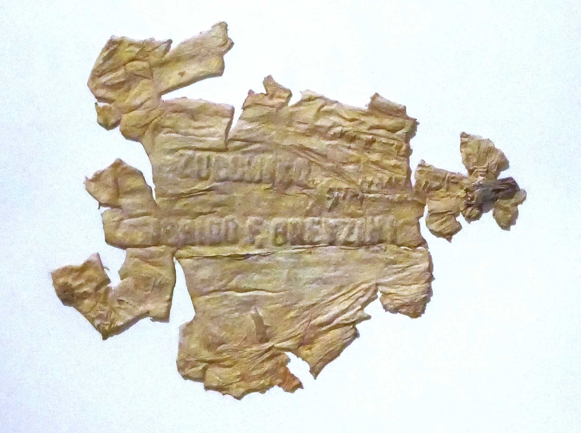 De natuur van Sjoerd Buisman