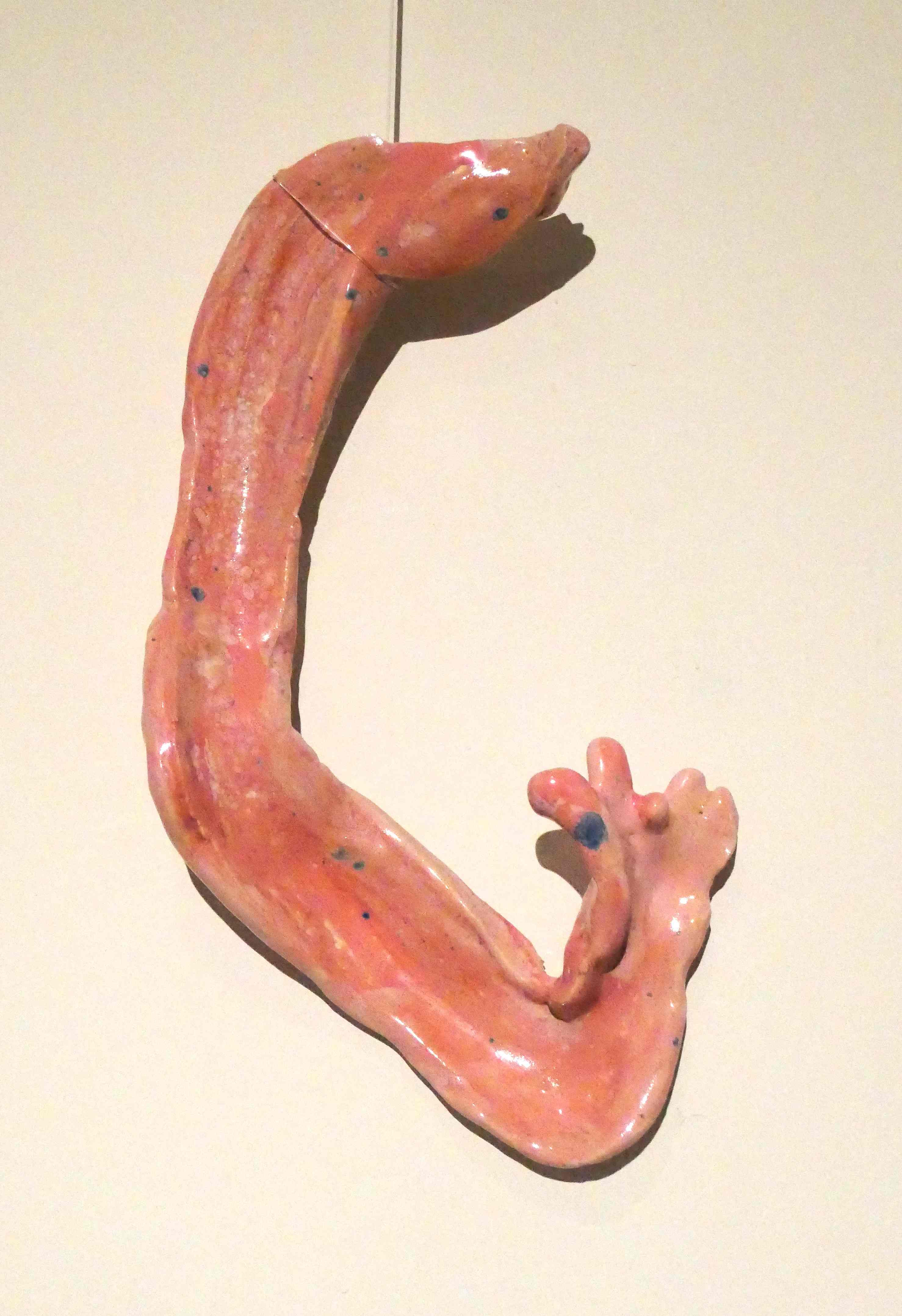 Expositie Onder de Huid in Paviljoen Welgelegen te Haarlem