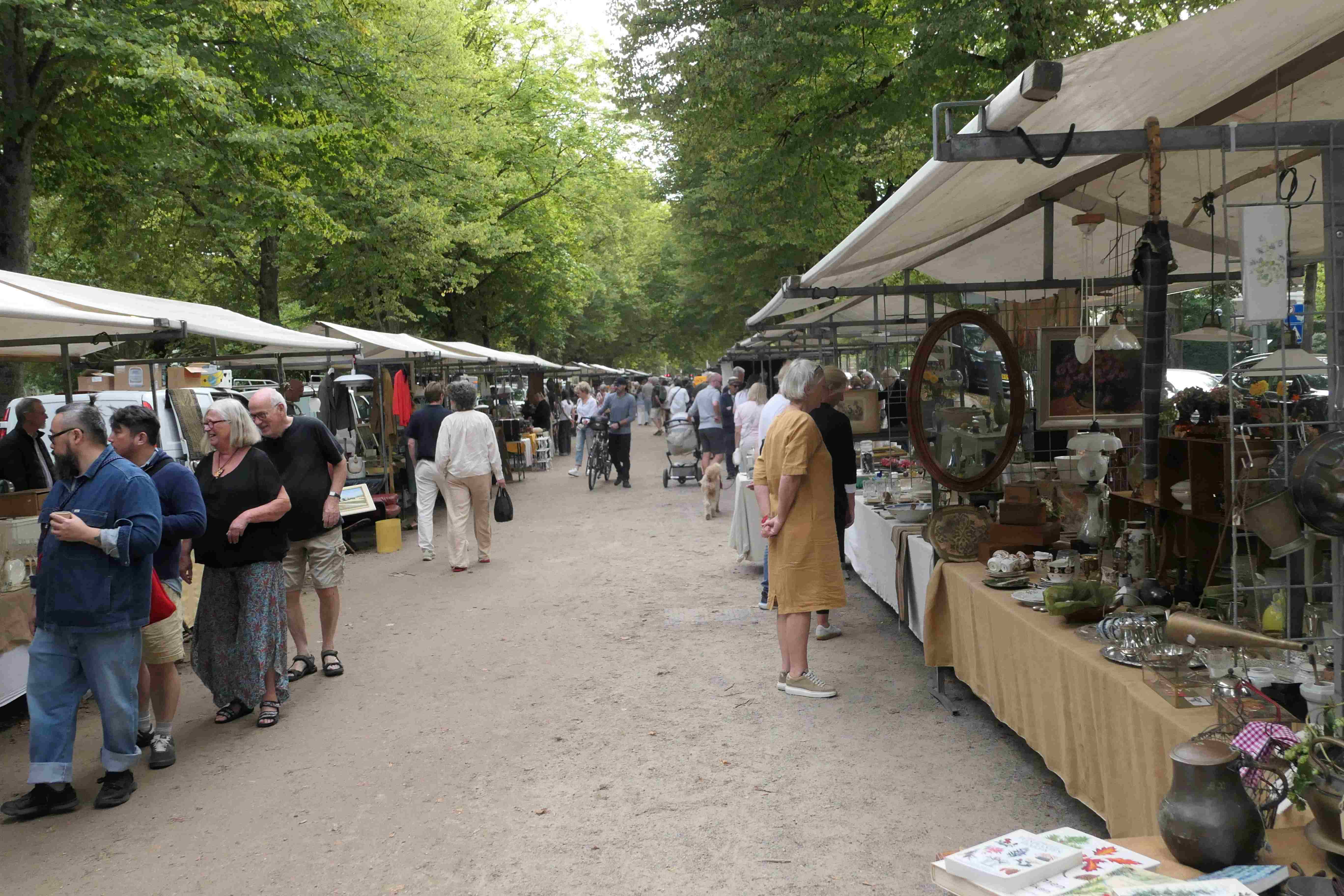 De Antiekmarkt op de Dreef in Haarlem